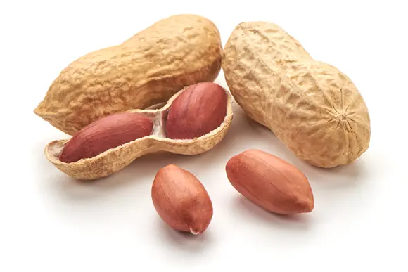 Groundnuts