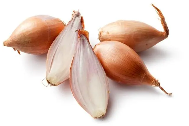 Shallots