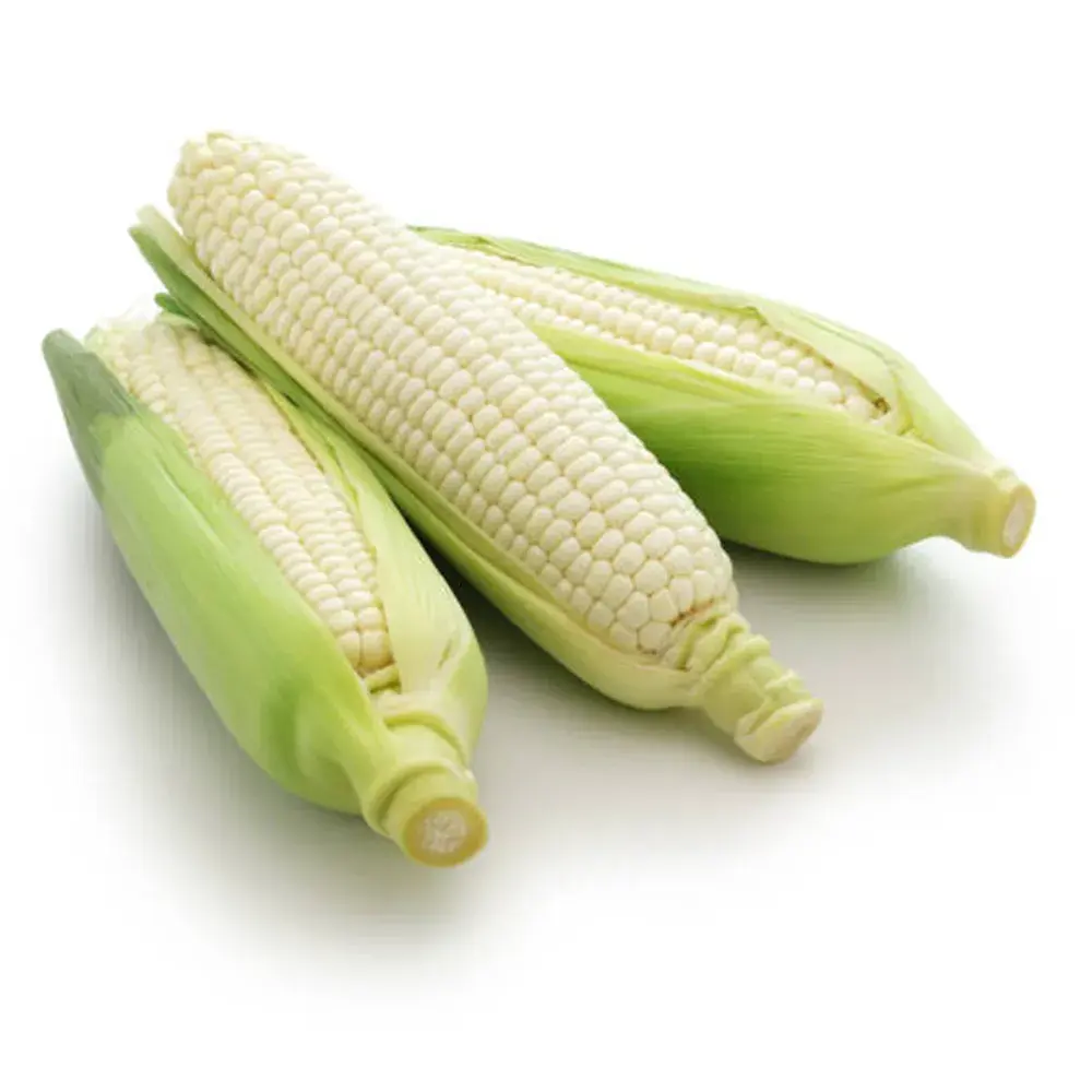 Fresh Corn