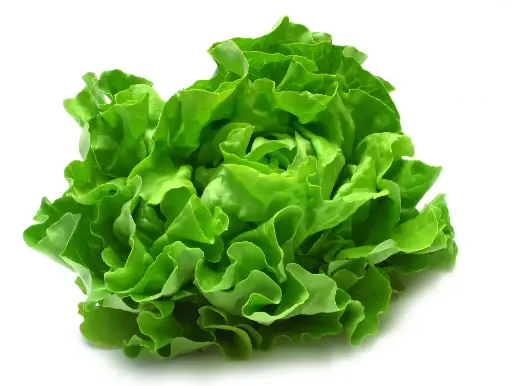 Lettuce leaves